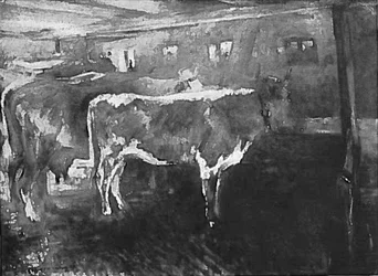 Cows in the Stable
